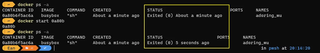 docker container start
