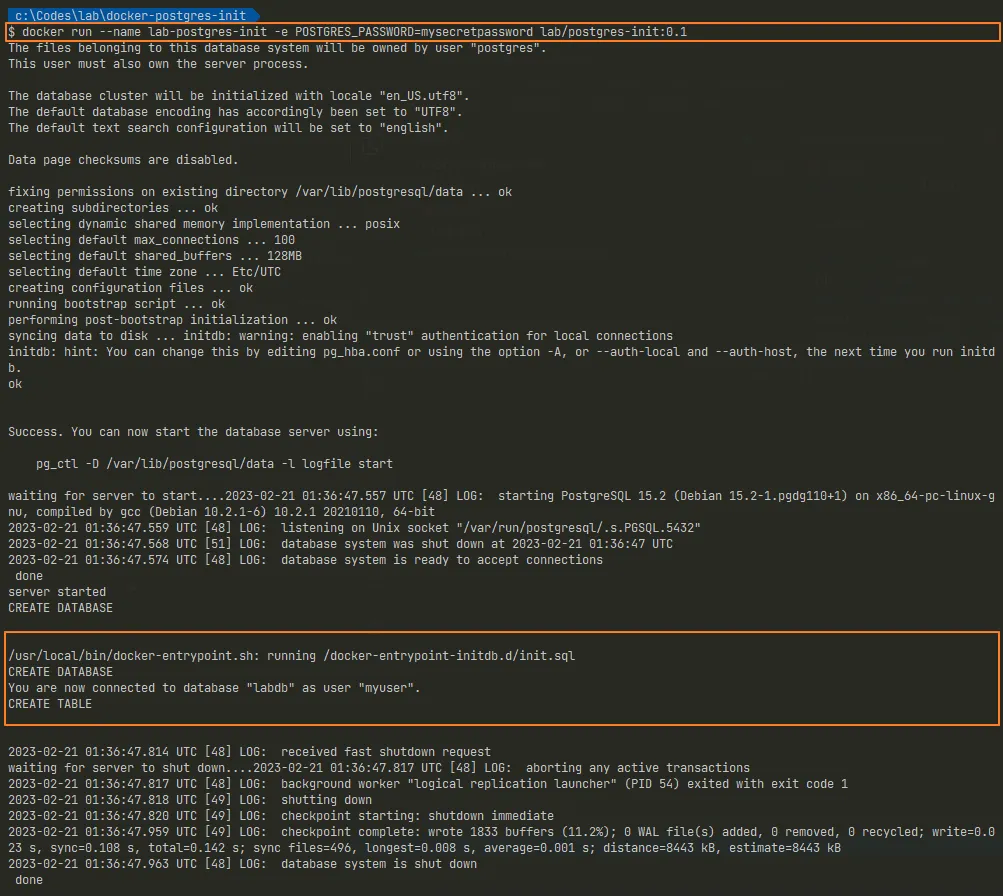 建立 container 時，也進行資料庫初始化