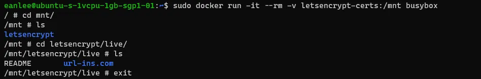 建立一個臨時 Container 來確認 volume 內容